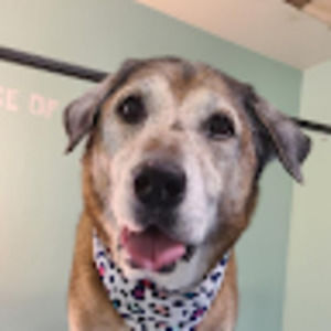 Meet your Posher, Mike